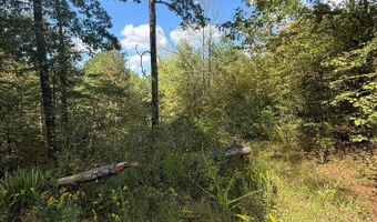 COUNTY RD 3730, Addison, AL 35540