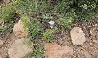 Birdwing Lane, Clay Springs, AZ 85923