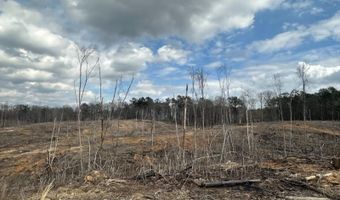 88 County Road 5345, Baldwyn, MS 38824