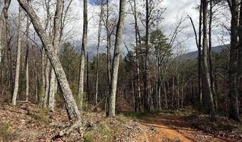 Parksville Road lot 1, Benton, TN 37307