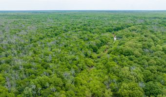 CR 4630, Annona, TX 75550