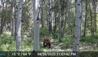 NHN Lost Creek Rd, Anaconda, MT 59711