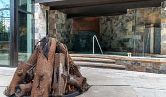 46 Avondale Lane 501 Calendar Weeks 7 & 8, Beaver Creek, CO 81620