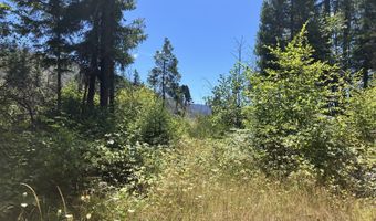 Blue River DR, Blue River, OR 97413