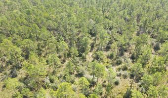 21947 NW Isoletta Rd, Altha, FL 32421