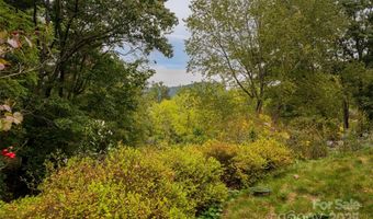 135 Spooks Branch Rd, Asheville, NC 28804