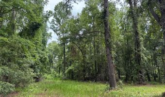 Tbd NW 67TH BOULEVARD, Alachua, FL 32615