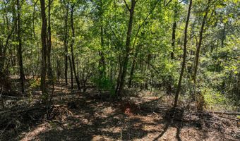 0 Slasham Rd, Ashville, AL 35953