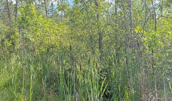 50 Acres Herron Rd, Alpena, MI 49707