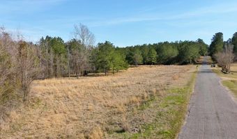 000 Mt Pleasant Ln SE, Bogue Chitto, MS 39629