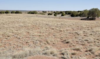 14 CR 5525, Concho, AZ 85924