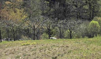 847 Simonsville Rd, Andover, VT 05143