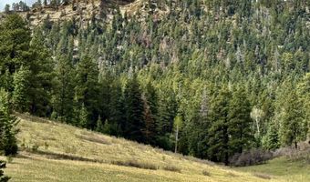 15098 CR 240, Bayfield, CO 81122