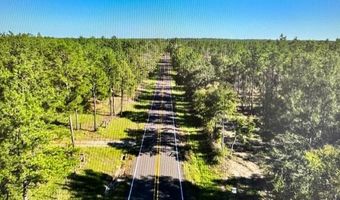 Tract 4-A FM 357, Apple Springs, TX 75926