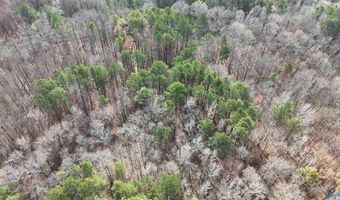 002 Toney Dr, Altoona, AL 35952