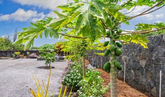 15-1578 7TH Ave, Keaau, HI 96749