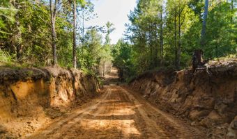 235 Woodrow Martin Rd, Brandon, MS 39042