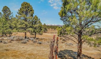 72 Armijo Dr, Angel Fire, NM 87710