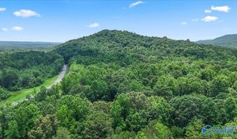 Unit # 0 Murphree Valley Road, Altoona, AL 35952