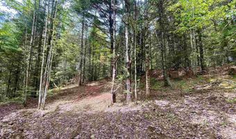 Marshall Newland Road, Burke, VT 05832