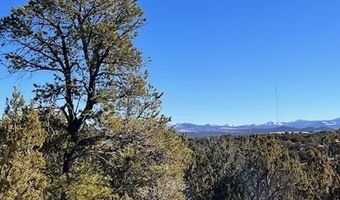 N8689 lot 002P, Concho, AZ 85924