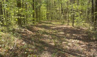 Steve Brown Road, Bean Station, TN 37708