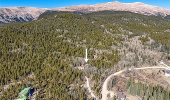 495 EDGEWOOD Rd, Alma, CO 80420