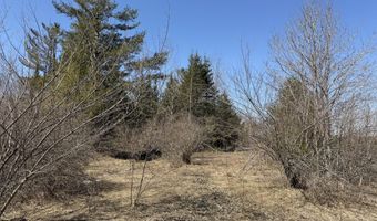 139 AC Witt Rd, Alpena, MI 49707