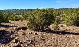 Kirkland DR 20 Acres, Concho, AZ 85924