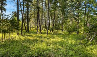 Nhn Westview Drive, Bigfork, MT 59911