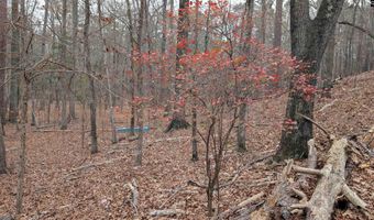 Lots B & C Miller Road, Camden, SC 29020