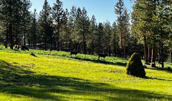 6310 Happy Hollow Ln, Bonanza, OR 97623