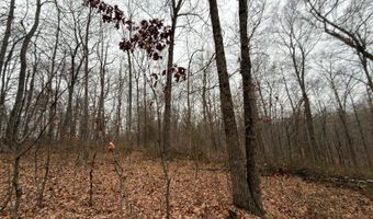 TBD1 E Willow Rd, Bloomfield, IN 47424