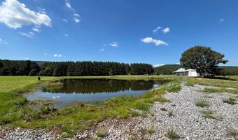 6150 SHOAL CREEK Rd 124+/- Acres, Ashville, AL 35953