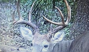 LEE HIGHWAY, Amissville, VA 20106