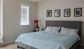 3900 Covington, Apex, NC 27502
