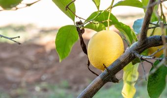 1322 Loma De Paz, Escondido, CA 92027