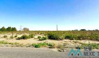 Mcfarland Road, Carlsbad, NM 88220