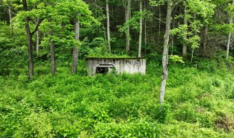 24483 Cave Creek Rd, Abingdon, VA 24211