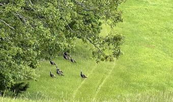 DOWNES ROAD, Bergman, AR 72615