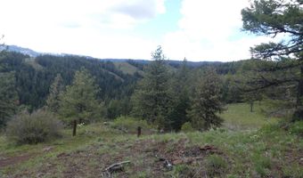 001 Hansen Ridge Rd, Anatone, WA 99401