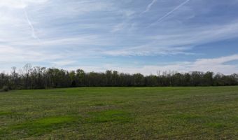 County Road 450 N, Albion, IL 62806