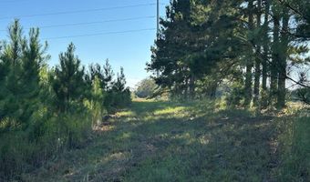 20 Ac State Hwy 95 Columbia Rd, Abbeville, AL 36310