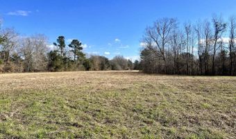 Dennis Ridge Road, Bonneau, SC 29431