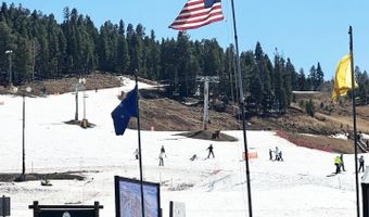 20 Jackson Hole B8, Angel Fire, NM 87710