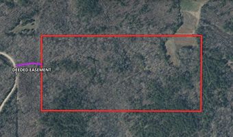 Reeves Road, Ashland, MS 38603