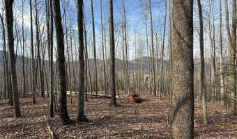 1029 Chippawa Dr 67, Arden, NC 28704