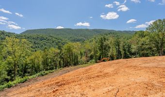 Lot 20 Clear Fork Creek Road, Bastian, VA 24314