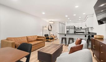 100 E Dean St 1D, Aspen, CO 81611