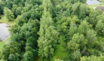 Birch Run Rd, Arbela, MI 48746
